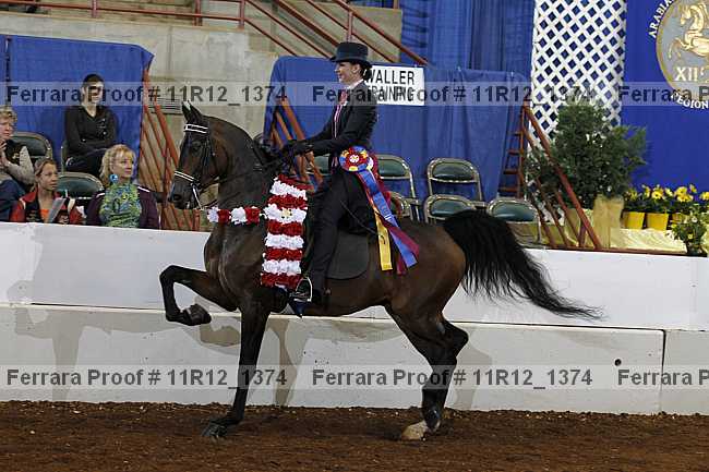 Proof 11r12_1374