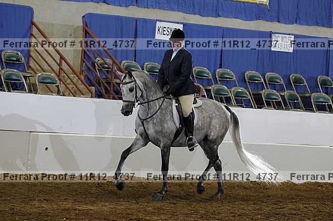 Proof 11r12_4737