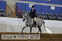 11r12_4737 proof