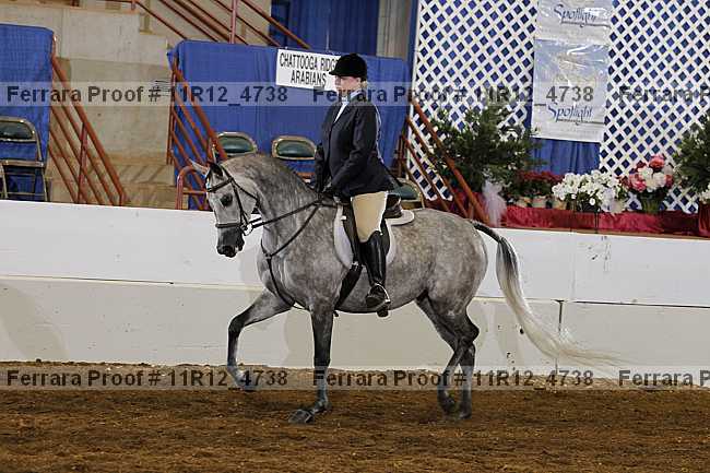 Proof 11r12_4738