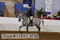 11r12_4738 proof