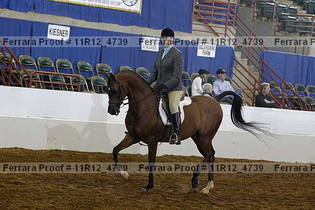 Proof 11r12_4739
