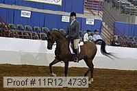 11r12_4739 proof