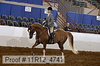 11r12_4741 proof
