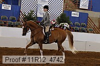 11r12_4742 proof