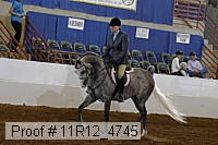 11r12_4745 proof