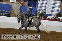 11r12_4746 proof