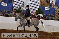 11r12_4748 proof