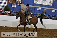 11r12_4751 proof