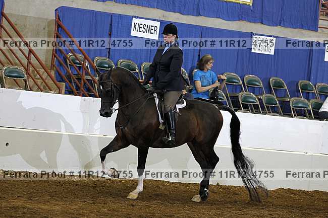 Proof 11r12_4755