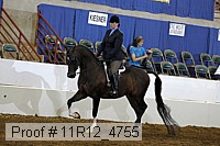 11r12_4755 proof