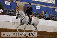 11r12_4761 proof