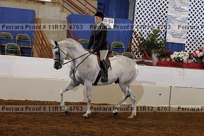Proof 11r12_4763