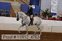 11r12_4763 proof
