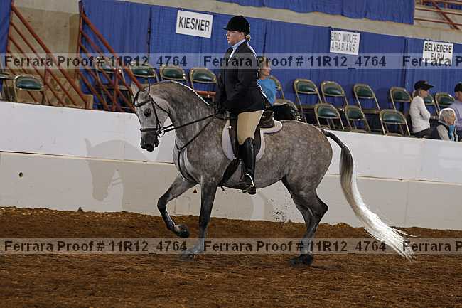 Proof 11r12_4764