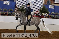 11r12_4765 proof