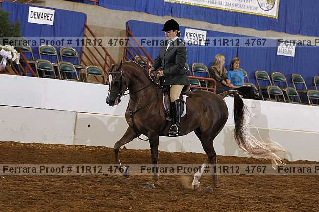 Proof 11r12_4767