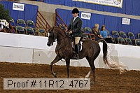 11r12_4767 proof
