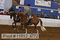 11r12_4772 proof