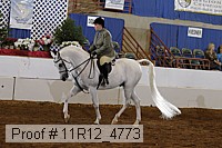 11r12_4773 proof