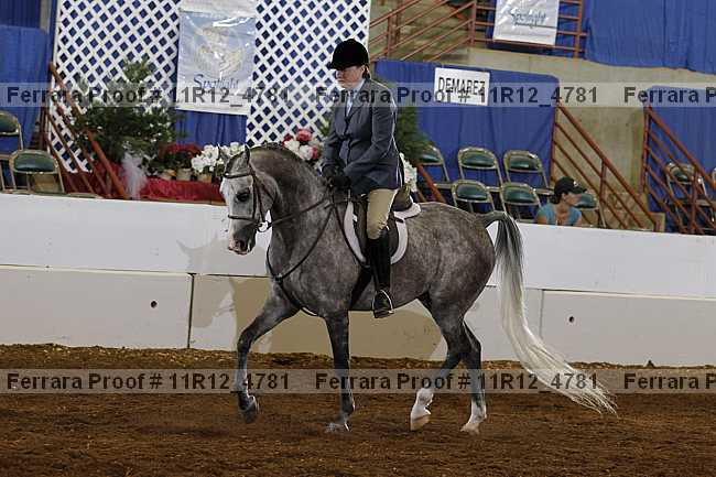 Proof 11r12_4781