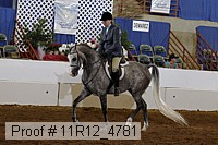 11r12_4781 proof