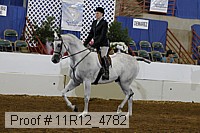 11r12_4782 proof