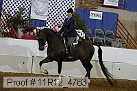11r12_4783 proof