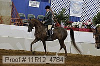 11r12_4784 proof