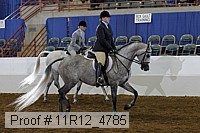 11r12_4785 proof