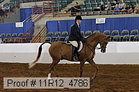 11r12_4786 proof