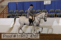 11r12_4787 proof