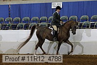 11r12_4788 proof