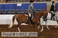 11r12_4789 proof