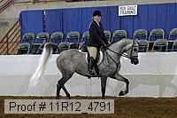 11r12_4791 proof