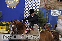 11r12_4795 proof