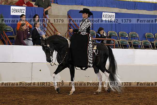 Proof 11r12_1379