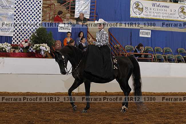 Proof 11r12_1380