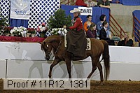 11r12_1381 proof