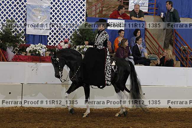 Proof 11r12_1385