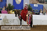 11r12_1390 proof