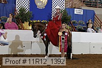 11r12_1392 proof