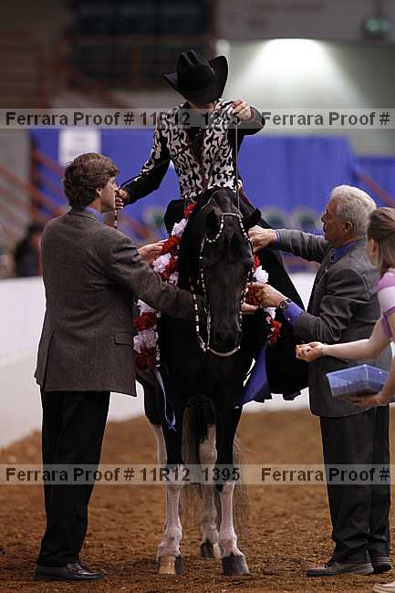 Proof 11r12_1395
