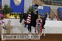 11r12_1399 proof