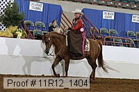 11r12_1404 proof