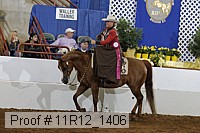 11r12_1406 proof
