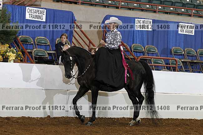 Proof 11r12_1408