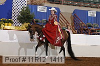 11r12_1411 proof