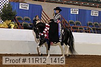 11r12_1415 proof