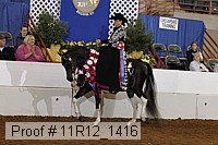 11r12_1416 proof
